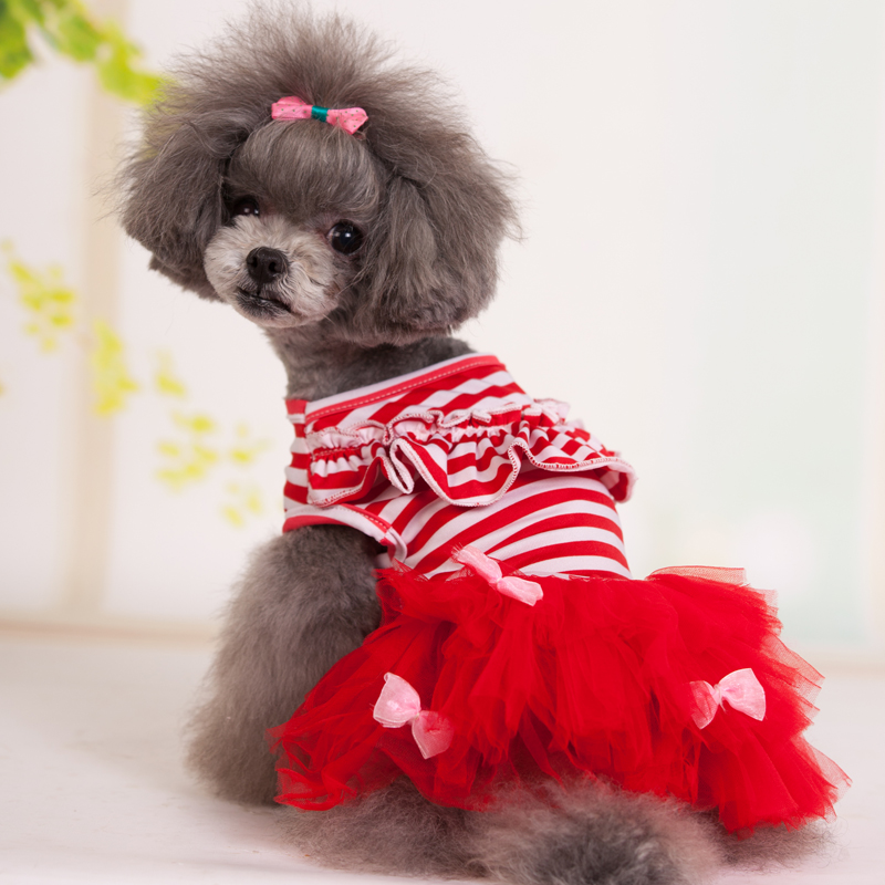 狗衣服 春夏装 狗裙子泰迪比熊衣服小狗裙子两脚衣 宠物用品 包邮