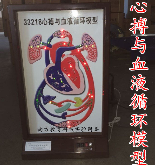 J3323心博与血液循环模型 电动式 心搏生物医学器材 教学仪器