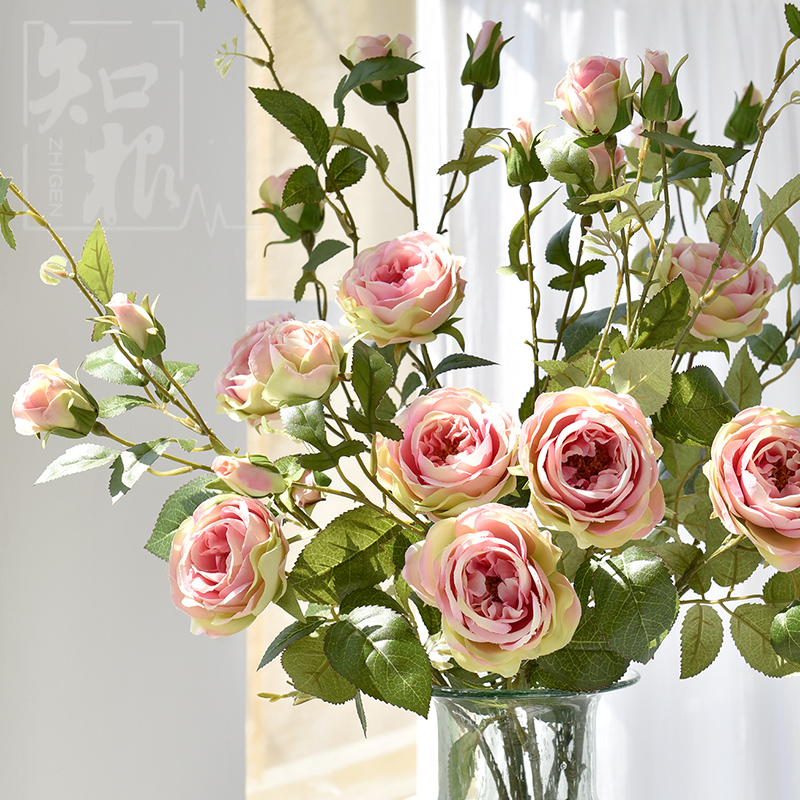 ֪���Ҿ���Ʒ�����ڷŻ���JLM-001