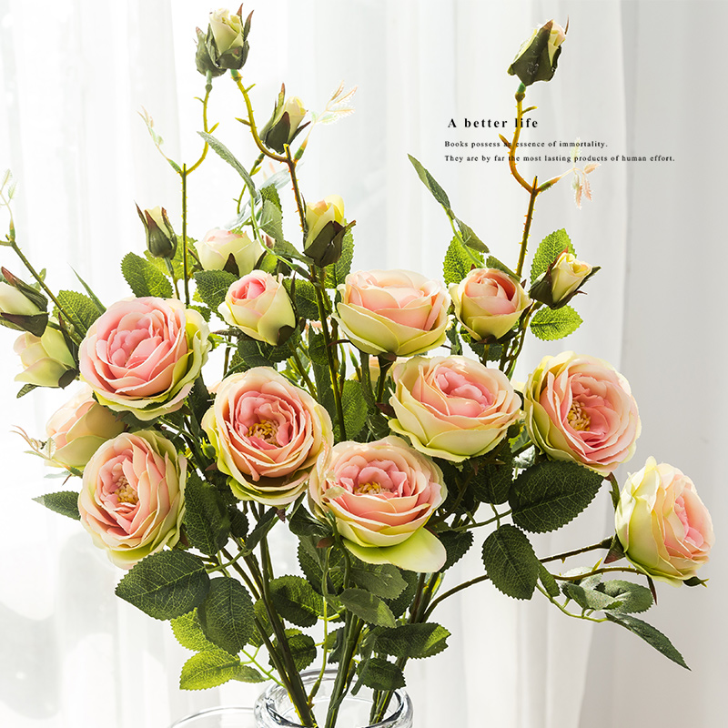 ����������õ��45211