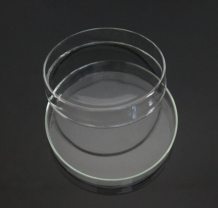 (51) Glass culture petri dish 100mm glass petri dish cell bacteria culture dish 10 kit
