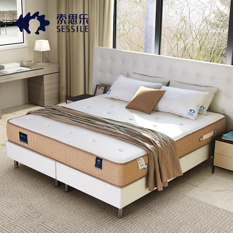 ��˼��zen��ϵ��������zen