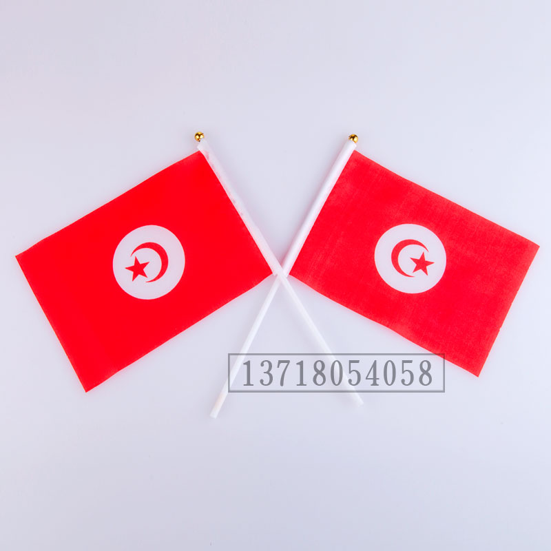 Tenis 14*21 hand-waving flag foreign flag Chinese flag Tenis flag national flag wholesale