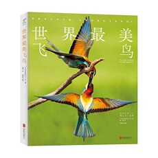 Птица 世界*美飞鸟