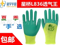 12 pairs of promotion star star star Bridge L836 breathable King rubber wear-resistant non-slip anti-odor labor protection work gloves