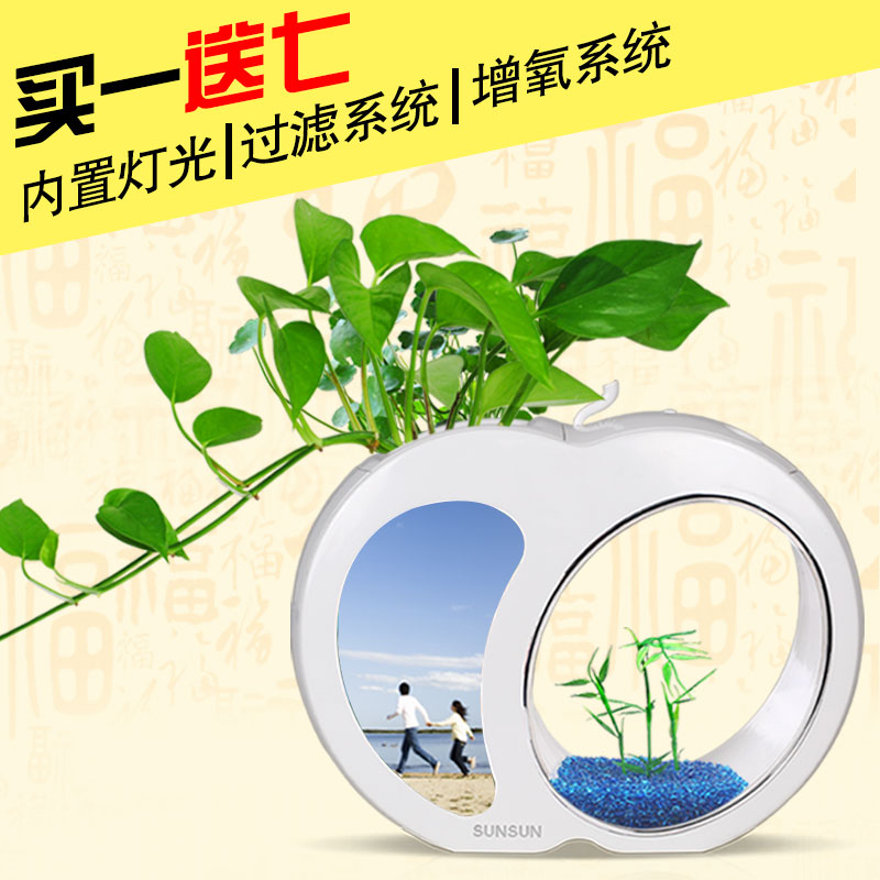 ɭɭ����ƻ�����