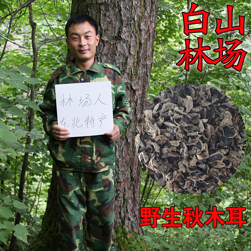 Northeast Small Bowl Black Agaric Dry Goods Pure Wild Bulk Special Grade Heilongjiang Ichun Linden Wood Without Root Dry Fungus