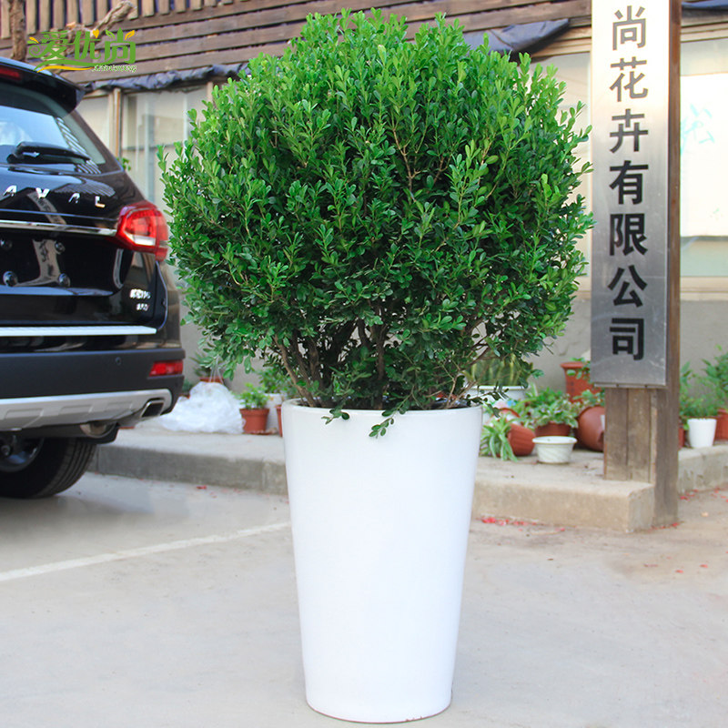 ���������� ����