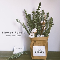 ins dried flower paper bag decoration Korean bouquet chic wind Dutch immortalized kapok Eucalyptus ornaments ghost cotton