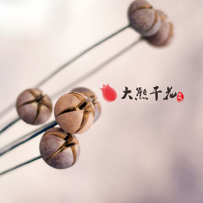 "Denghanxiao Creative Plant Dried Flowers, dried flower decorative flowers, artificial flowers, artificial flower arrangement, living room decorative flower set.