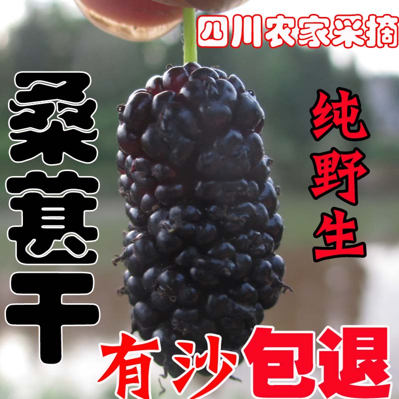2022 Sichuan farmyard wild special class without sand and mulberry dry mulberry fruit dry mulberry Very dry mulberry dry 500 gr 