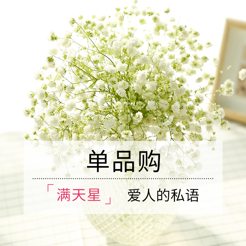 ���м�ͥ�ʻ��ٵ�JT022