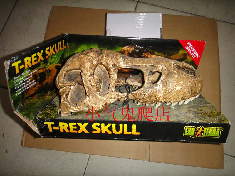 Canada's Exo Terra Dinosaur Skull Fossil Hiding Spot Pt-2859 Free Shipping Canada's Exo Terra Dinosaur Skull Fossil Hiding Spot Pt-2859 Free Shipping