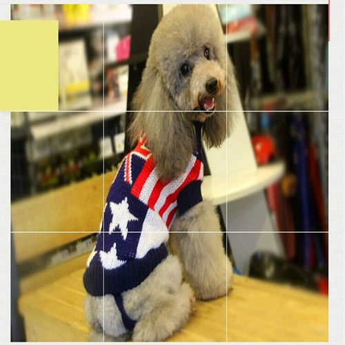Специальное предложение бесплатная доставка собачья одежда для домашнего пота свитер плюшевый медвежь