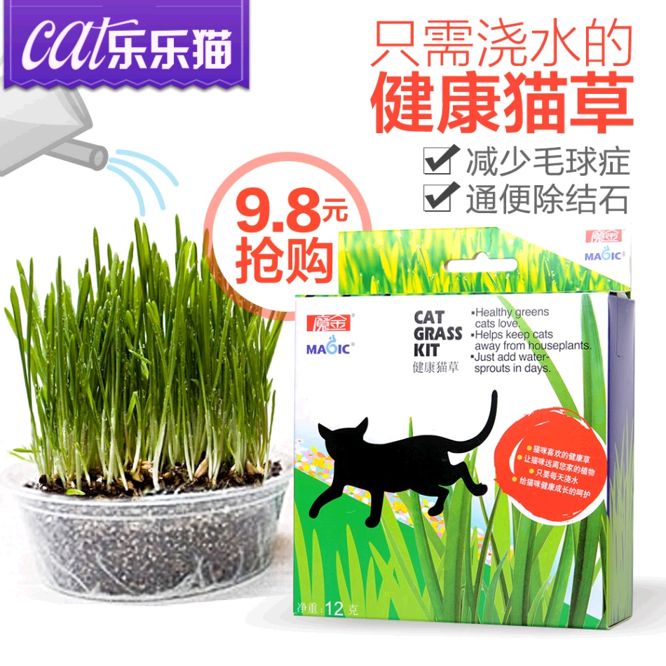 猫草猫零食 魔金猫草套装带猫草种子培育土培育盆猫薄荷猫咪零食
