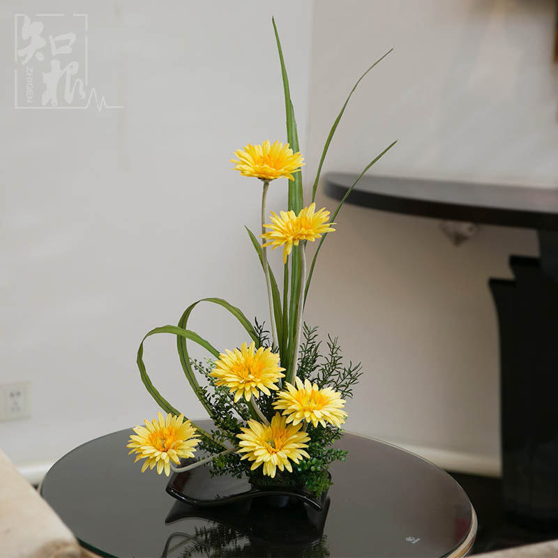 ֪����Ʒ�ʷ��滨TZ-248