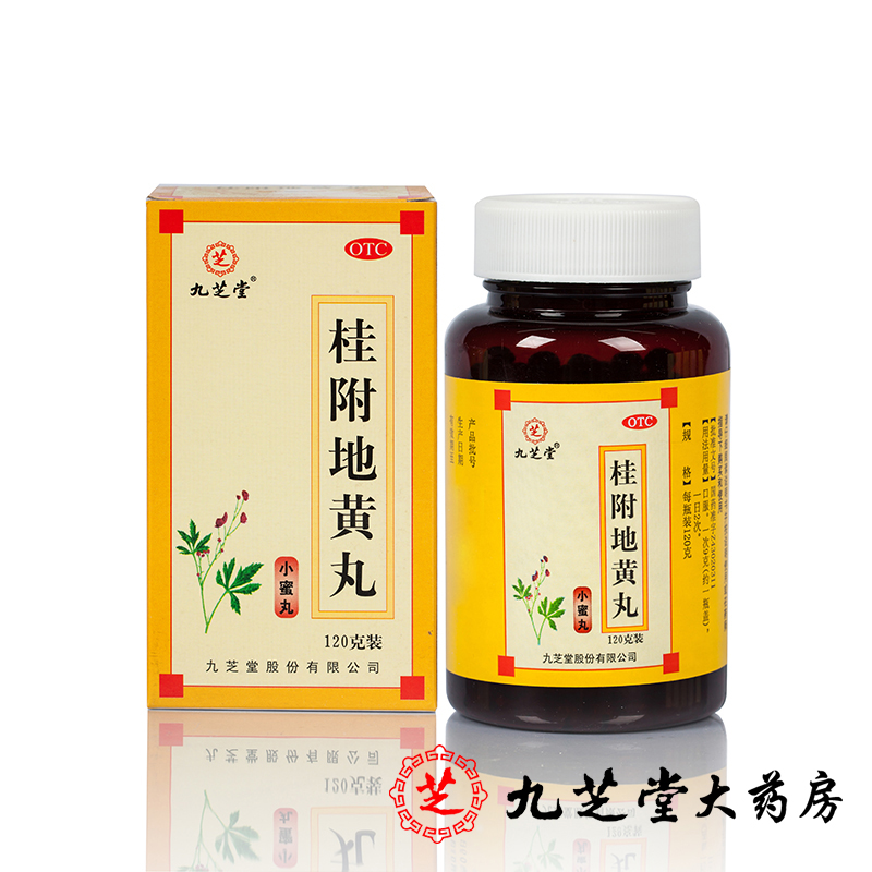 九芝堂 桂附地黄丸小蜜丸 120g*1瓶/盒 温补肾阳用于腰酸肢冷尿频