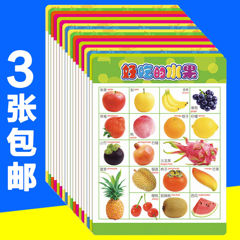 儿童早教启蒙认知挂图 拼音看图识字卡片宝宝撕不烂早教无声玩具