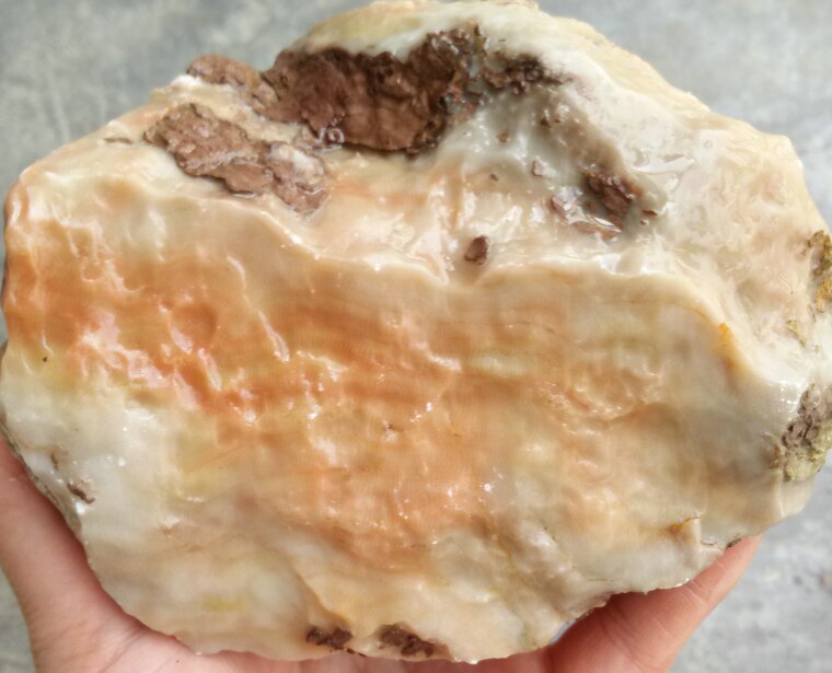 Ningqiang coral fossil jade stone carving material raw stone scroll pattern color pattern hand fingerprint fine pattern paleontology (2 selection L