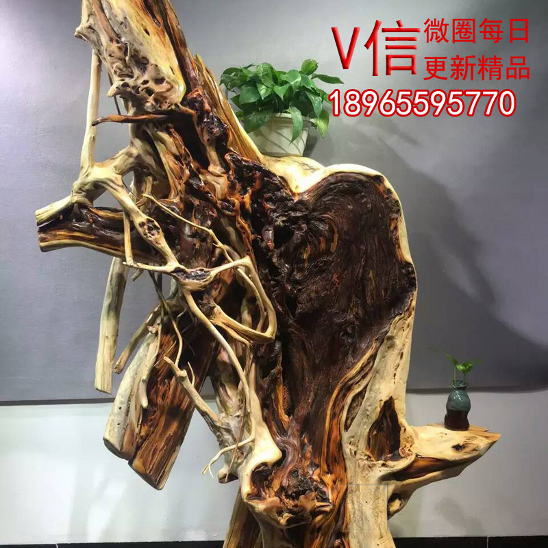 ����ľ��ڼ��ڽڸ����㻨��16062002