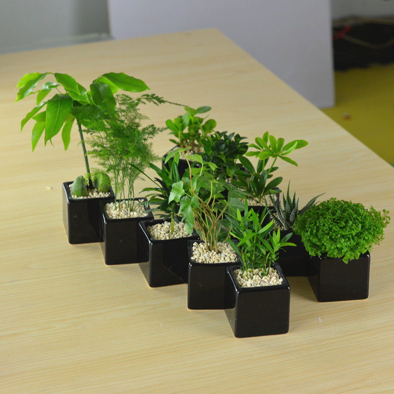 �Ӻ�ԵС����hf