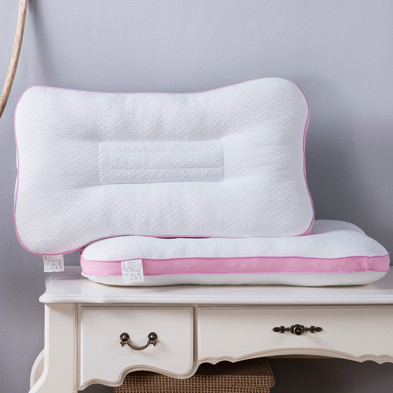 ����ѧ����������ͷ ZT11