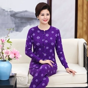 Bông mở trung và cũ tuổi đồ lót nhiệt đặt mẹ nạp phụ nữ bông kích thước lớn cardigan mùa thu quần áo quần dài