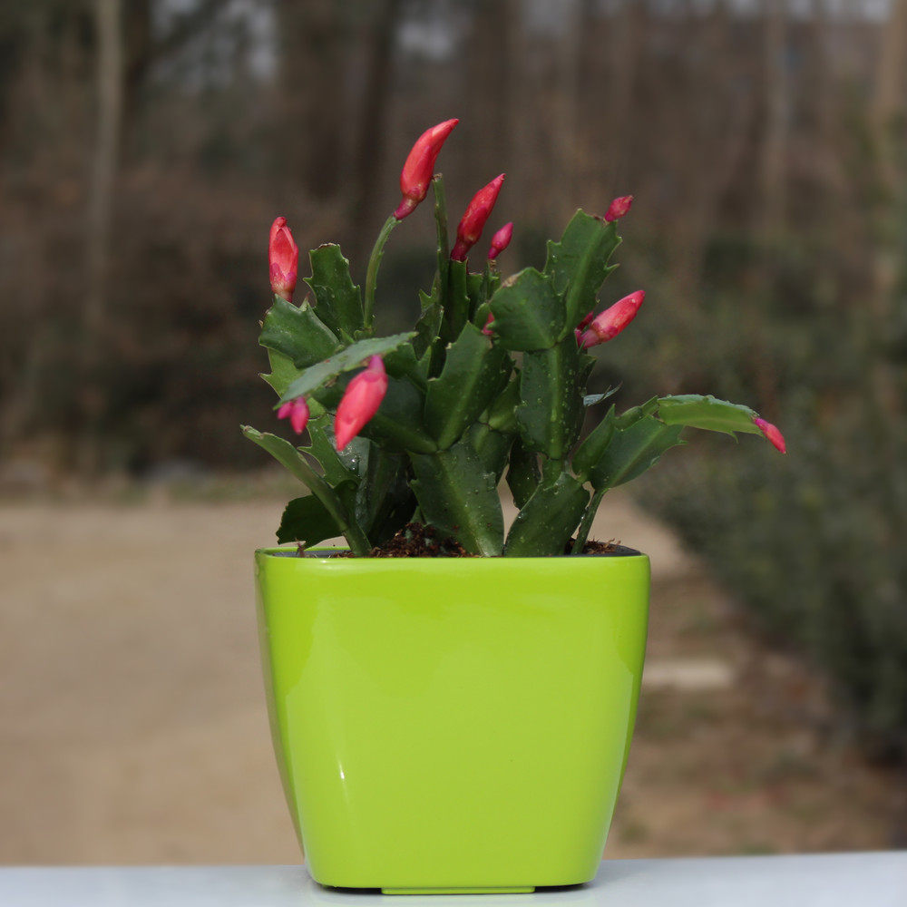 ��������������