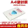 Xin Fengyun thickened plastic film A4 5C thick scallop film card film Photo plastic film 100 packs