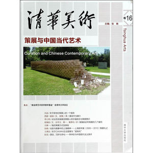 清华美术卷16——策展与中国当代艺术