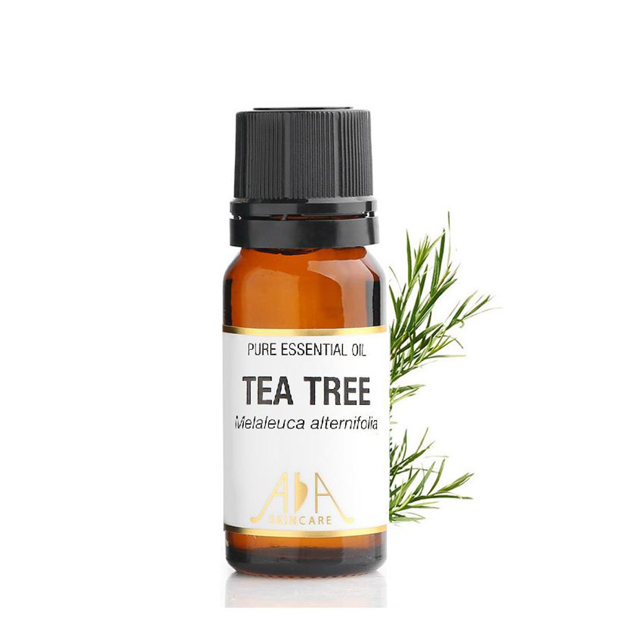 英国AA网 茶树精油10ml 控油清痘收毛孔