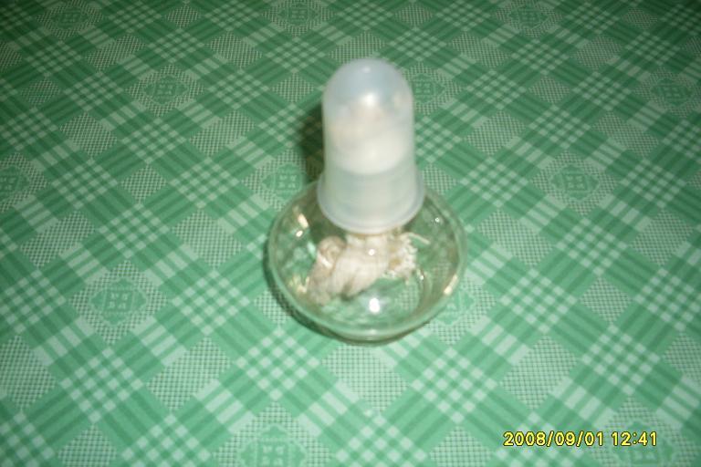 酒精灯一套 60ml