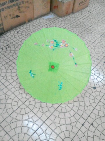 Snatched Dance Performance Flower Umbrella Classical Dance Umbrella Jiangnan Crafts Umbrella Ancient Dress Writing Real Prop With Umbrella