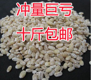 Shilin Restaurant Barley kernel farm high-quality barley rice