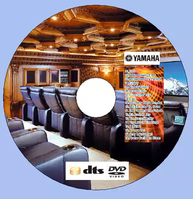 DTS-DVD 5 1 Channel Eagles California Hotel Music Mountain Leaf Home Theater Audition Disc