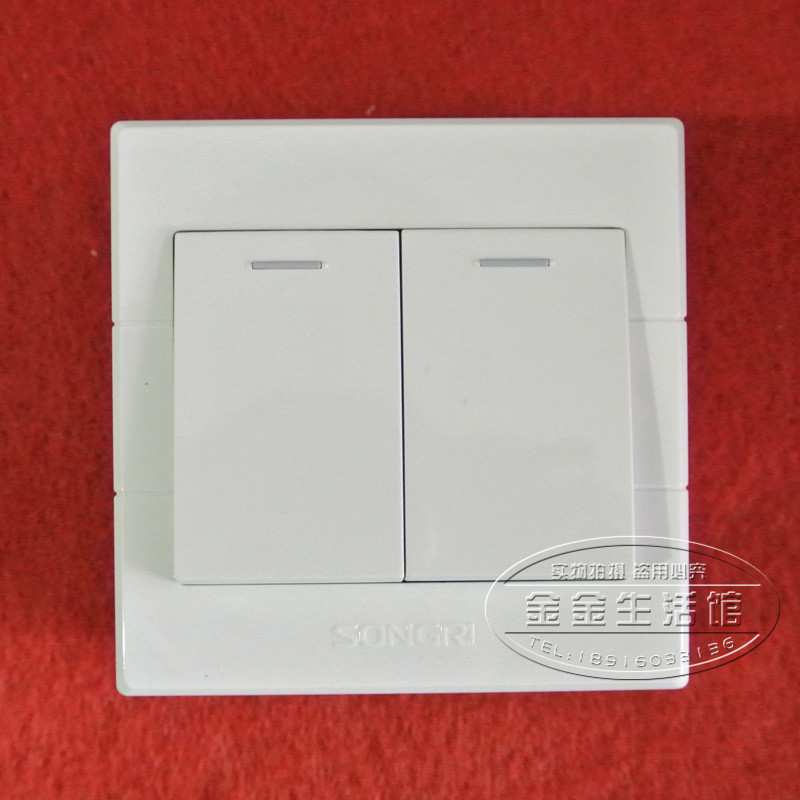 Shanghai Sunday Switch Socket Dual Assembly Board Two Open Single Control 2 Open Single Control Two Open Switch