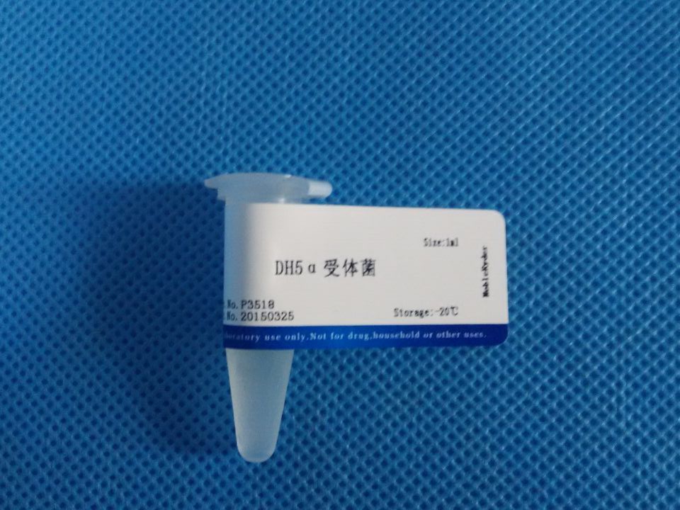 DH5&alpha;受体菌  1ml      生物冰袋发货 需要干冰的朋友慎拍