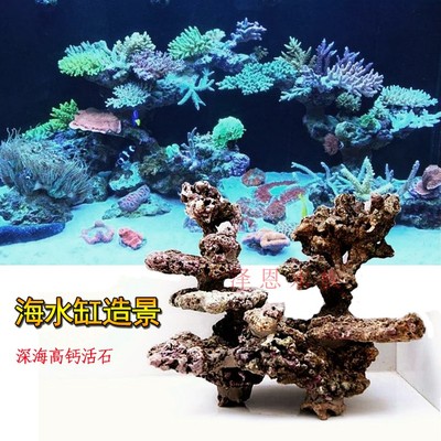 90海缸活石造景图-千图网