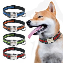 Nylon Dog Collar Personalized Pet Collar Engraved ID YTag Na