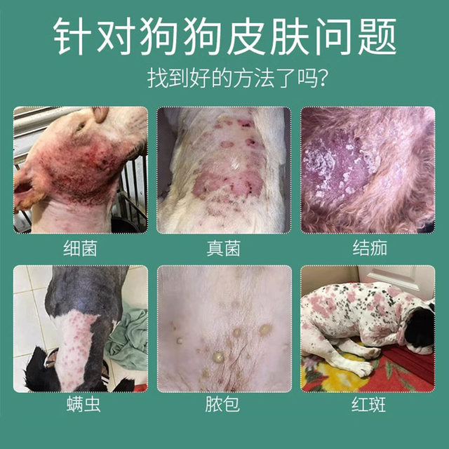 Dermatology ຫມາ ringworm ພິເສດການປິ່ນປົວໃນໄລຍະຍາວຂອງຫມາ E ຢາສໍາລັບການນໍາໃຊ້ພາຍນອກການຕິດເຊື້ອ fungal dermatitis ຜົມສູນເສຍ.