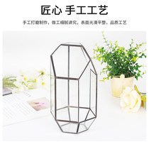 Desktop ecological bottle geometric glass flower room flower gardening micro-E landscape glass flower room iron art earth culture glass cover