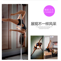 Dance pole reinforced indoor professional pole dance pole portable fixed rotating adjustable steel pole silver plated