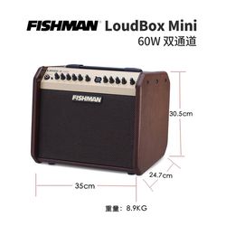 Fishman Loudbox mini/Artist ລຳໂພງກີຕ້າອາຄູຕິກ ລຳໂພງ Bluetooth