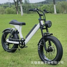 Смарт-велосипед 源头工厂20寸4n8v1000w胖胎雪地助力自行车登山车