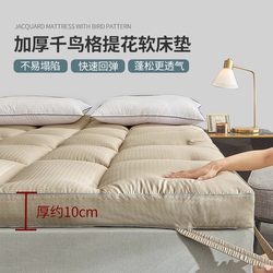 New mattress thickened 10kcm soft mattress feather velvet mat home tatami bed mattress hotel soft mattress