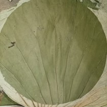 Lotus leaf round 28CM lotus leaf rice lotus leaf tea bag rice dumplings glutinous rice chicken lotus leaf wooden barrel rice porridge lotus leaf 50 sheets