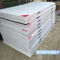 Gymnastics mat 1m*2m Sanda somersault mat portable mat wrestling E wrestling mat dance training mat competition dance mat practice folding mat