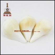New Buddhist Hall Supplies Offerings Yellow and White Conch Conch One Piece
