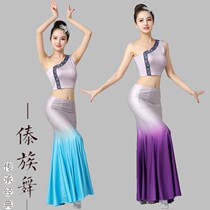 Spot quick release 2024 nouveaux costumes de danse Dai pour femmes adultes costumes de performance de danse de paon test dart pratique jupe de danse poisson