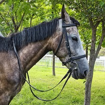 PV water reining Horses are reined with water Reins Water reining C English horse water reining Horses used for pinshu 8208008